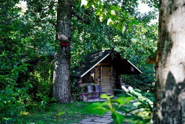Hope Alaska'S Bear Creek Lodge Экстерьер фото